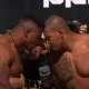 francis ngannou-renan ferriera-cara a cara-pfl