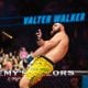 Valter-Walker-UFC